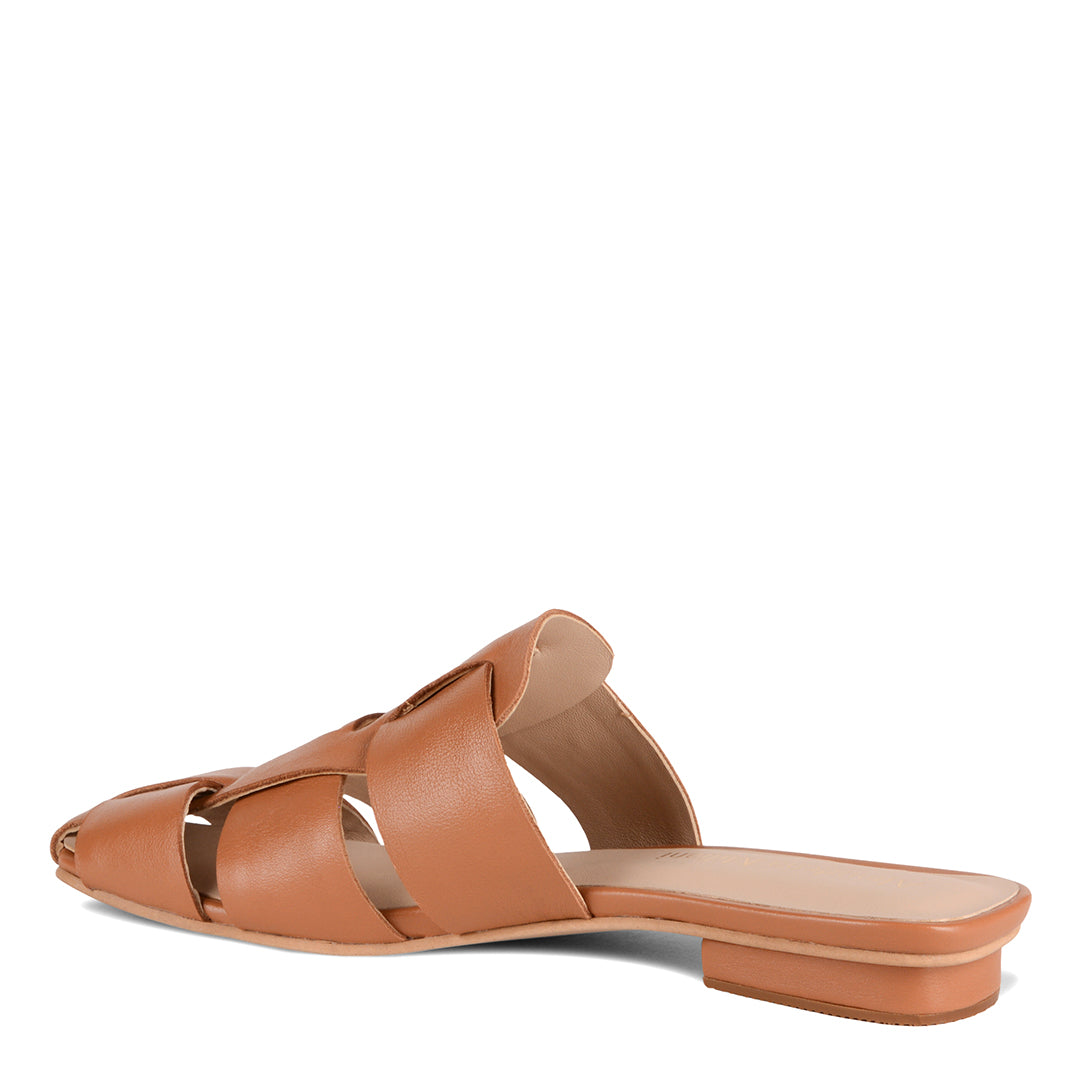 NEW! NARA AVELLANA