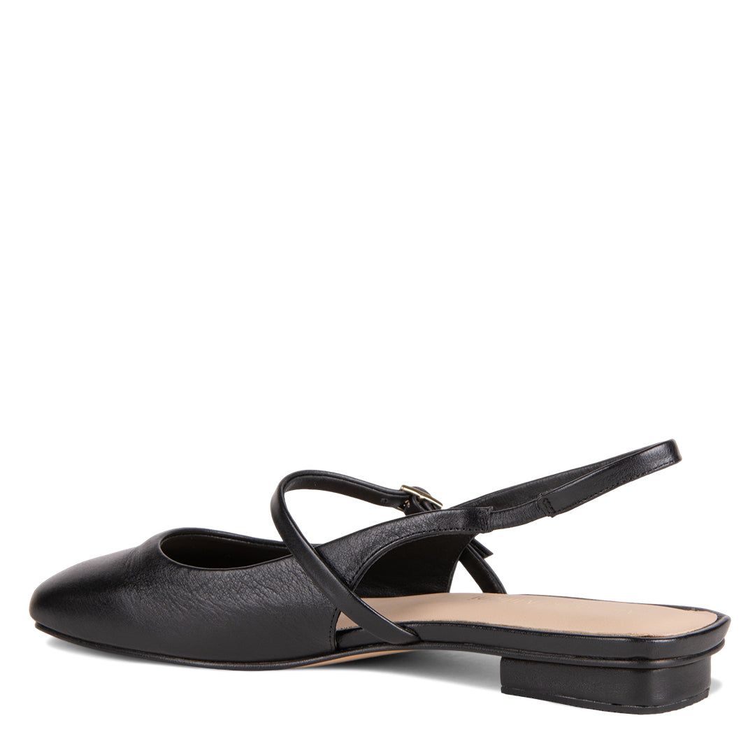 NEW! NEBRIA NEGRO