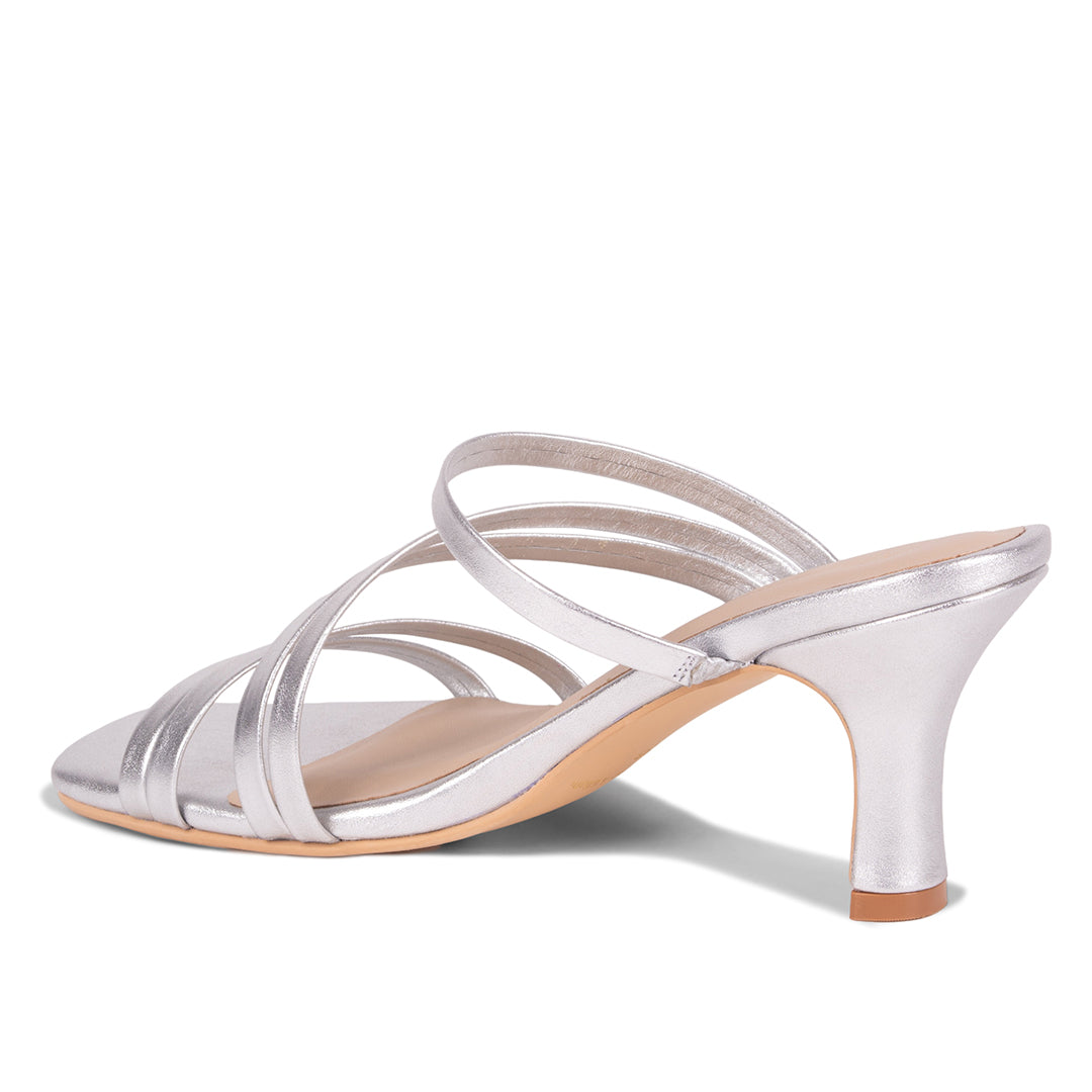 DAISY PLATEADO