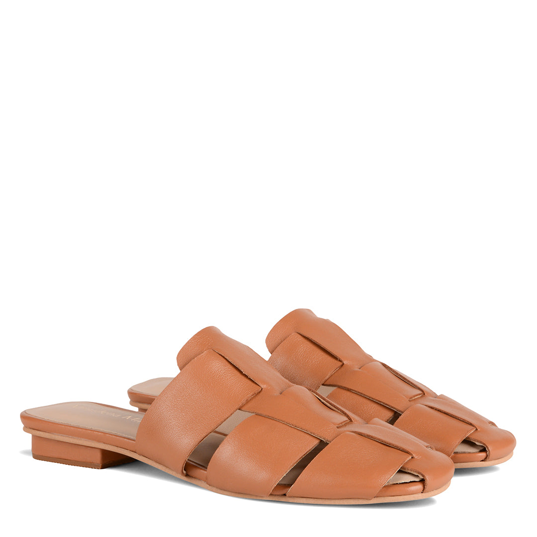 NEW! NARA AVELLANA