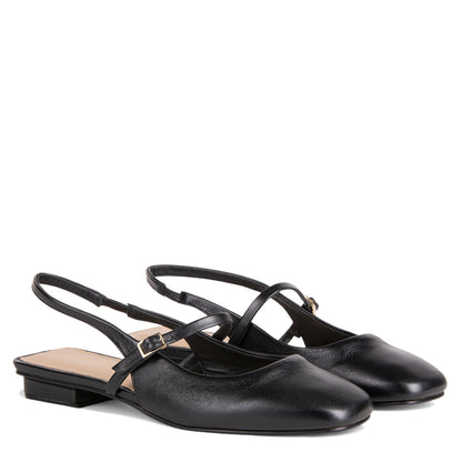 NEW! NEBRIA NEGRO