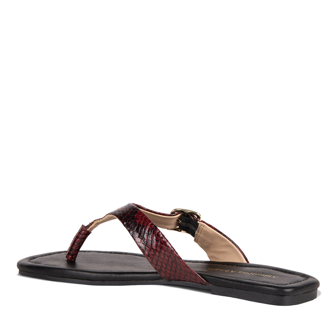 NEW!  LIVORIA BURBUNDY