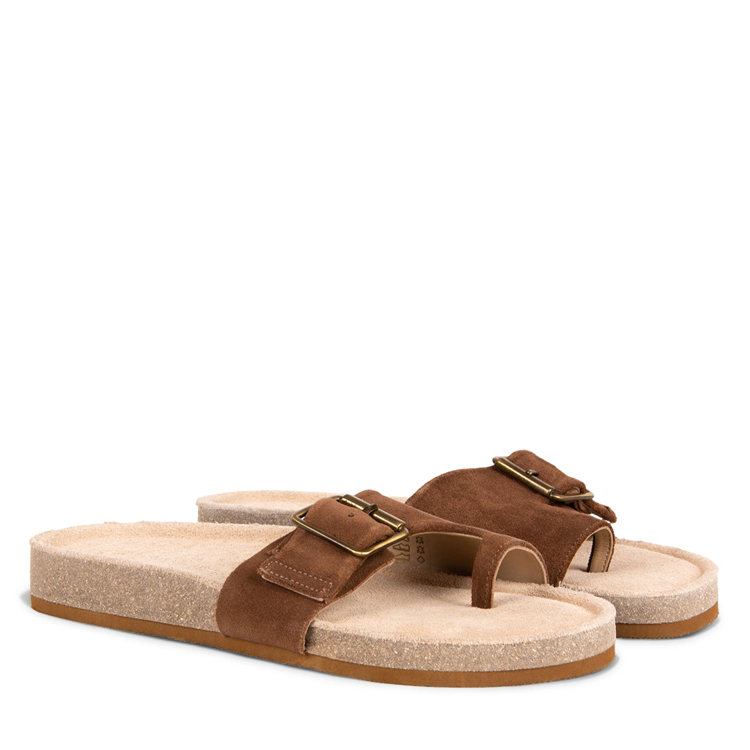 NEW! CORALIE CHOCOLATE
